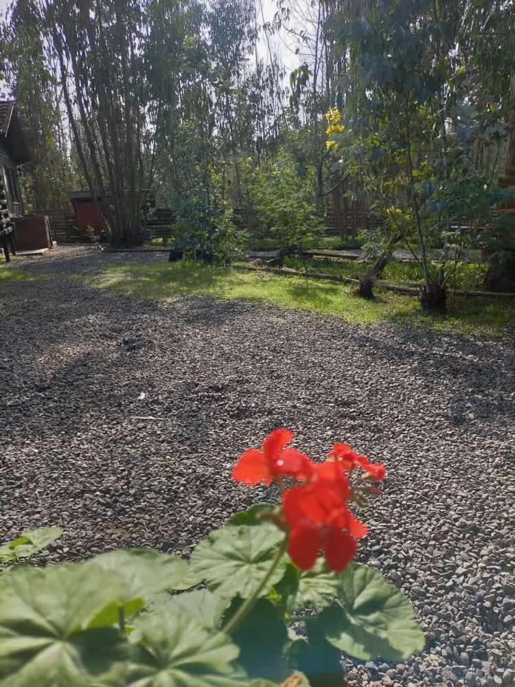 El Bosque Lodge Algarrobo Buitenkant foto