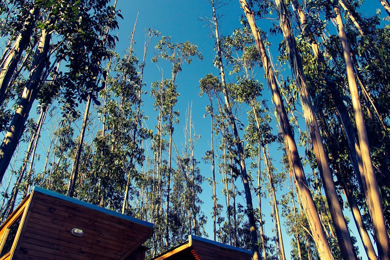 El Bosque Lodge Algarrobo Buitenkant foto